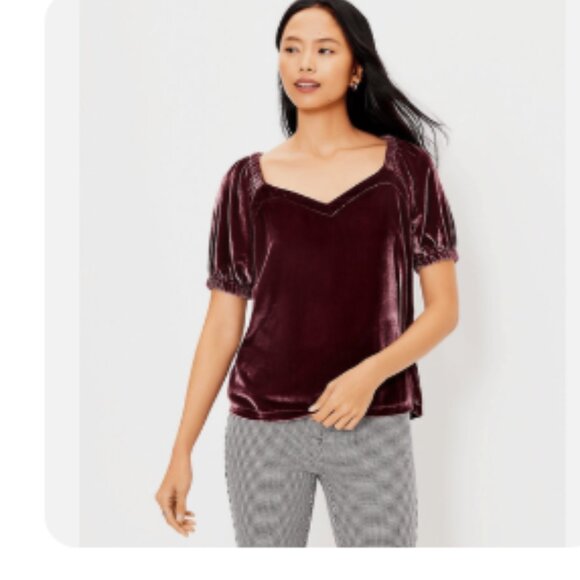 LOFT Tops - LOFT Velour Puff Sleeve Sweetheart Neck Top Bold Bordeaux Size M NWT